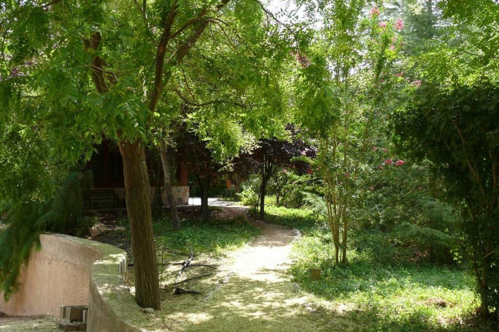Casa En El Campo Con Encanto Almansa Bagian luar foto