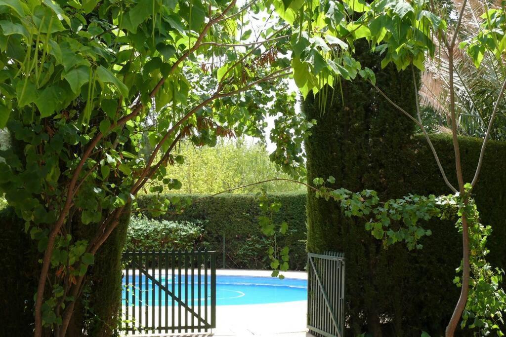 Casa En El Campo Con Encanto Almansa Bagian luar foto